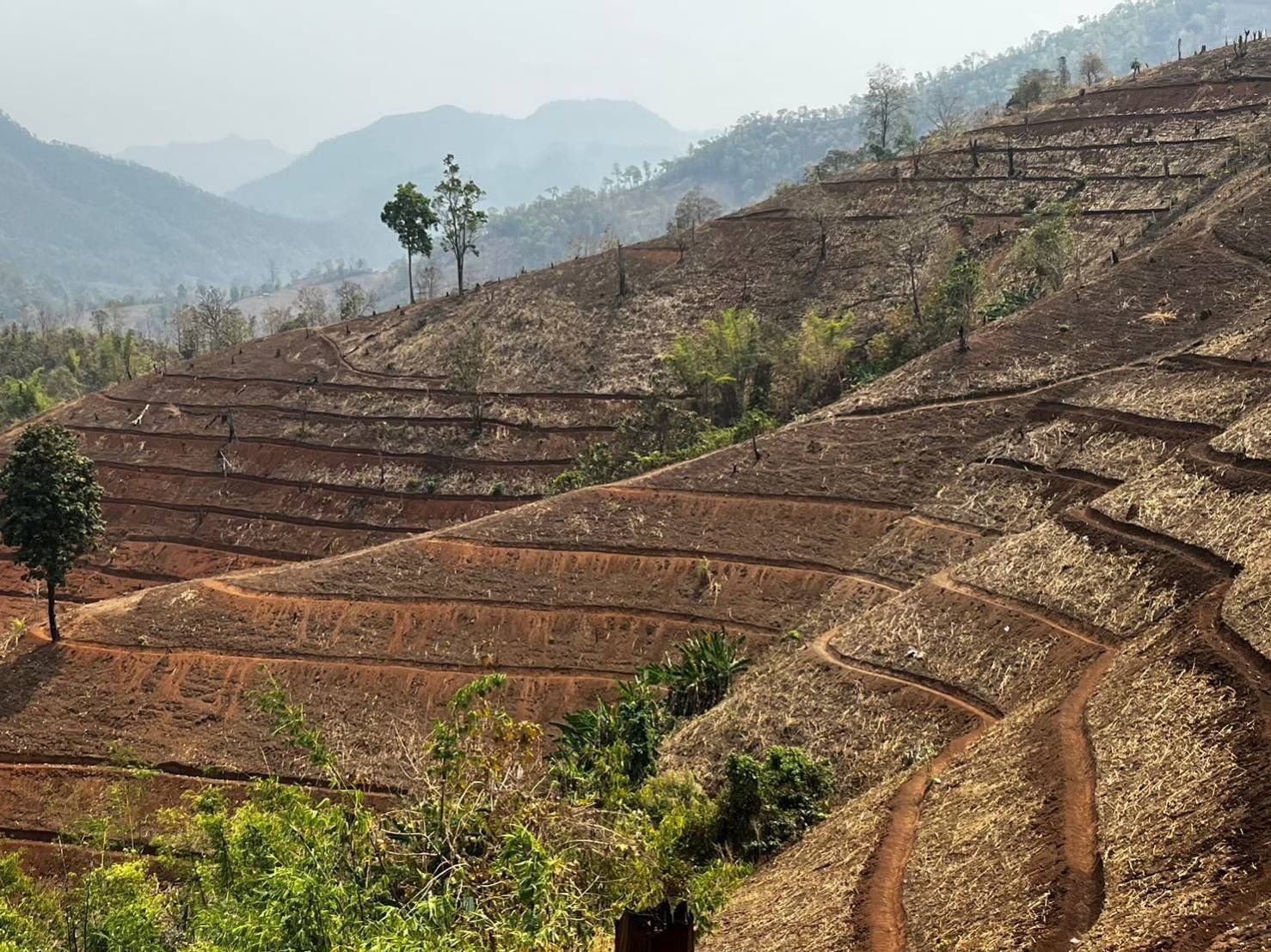 กรมพัฒนาที่ดิน เตรียมแผนฟื้นฟูดินในพื้นที่การเกษตร รองรับน้ำท่วม ดินโคลนถล่ม 11 679730