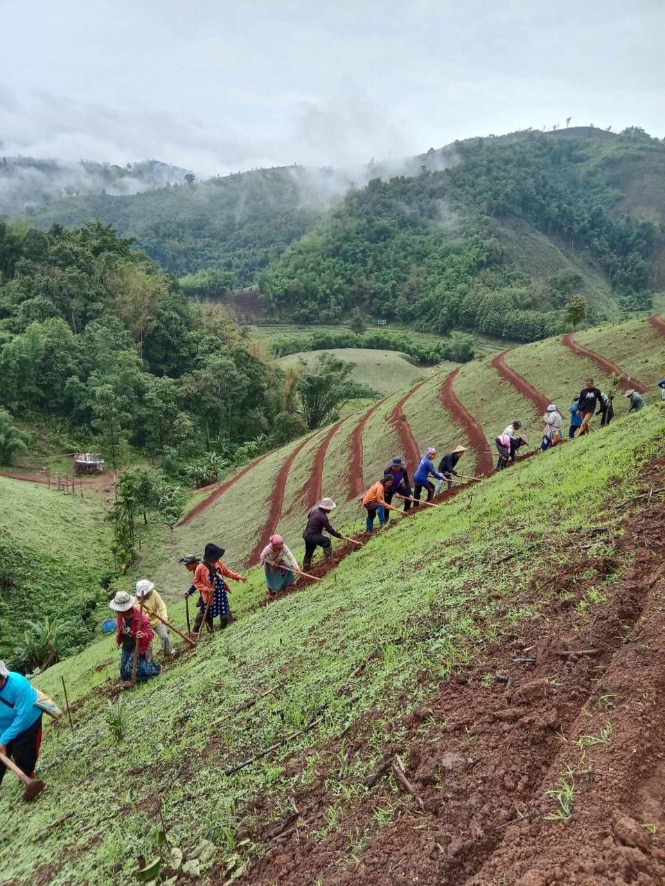 กรมพัฒนาที่ดิน เตรียมแผนฟื้นฟูดินในพื้นที่การเกษตร รองรับน้ำท่วม ดินโคลนถล่ม 12 679731