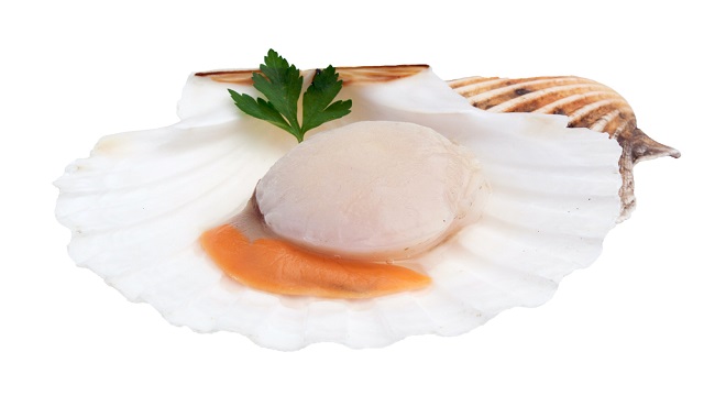 วิธีการเพาะเลี้ยง 683457472