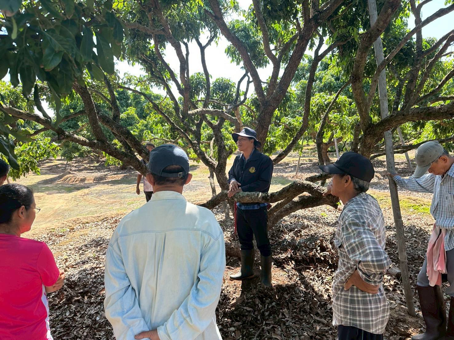 เกษตรฯ เดินหน้าแคมเปญ 698695