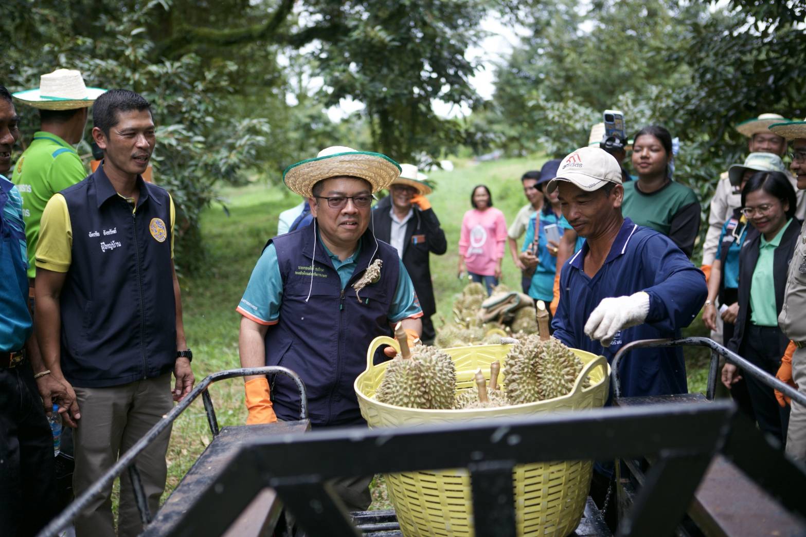 เกษตรฯ เดินหน้าบิ๊กคลีนนิ่ง ยกระดับผลไม้ใต้สู่ตลาดส่งออก สร้างความเข้าใจเรื่องสุขอนามัยพืช-ย้ำมาตรฐานส่งออกผลไม้ไทย 8 699515
