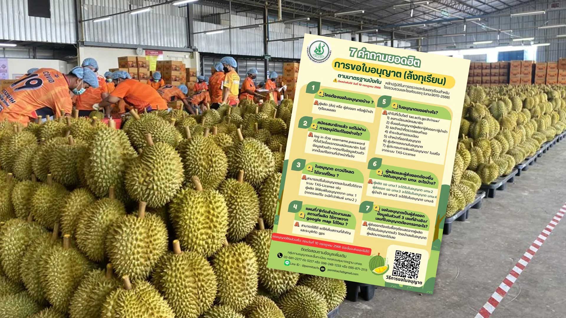 นับถอยหลัง ล้งทุเรียนต้องขออนุญาตจาก มกอช.กับ 7 คำถามยอดฮิตเกี่ยวกับการขอใบอนุญาต (ล้งทุเรียน) 1 7 คำถามยอดฮิต3