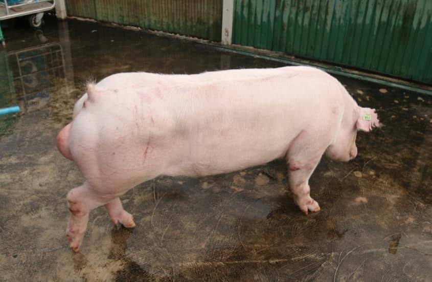 72803757 990850884598120 5247528438809493504 n