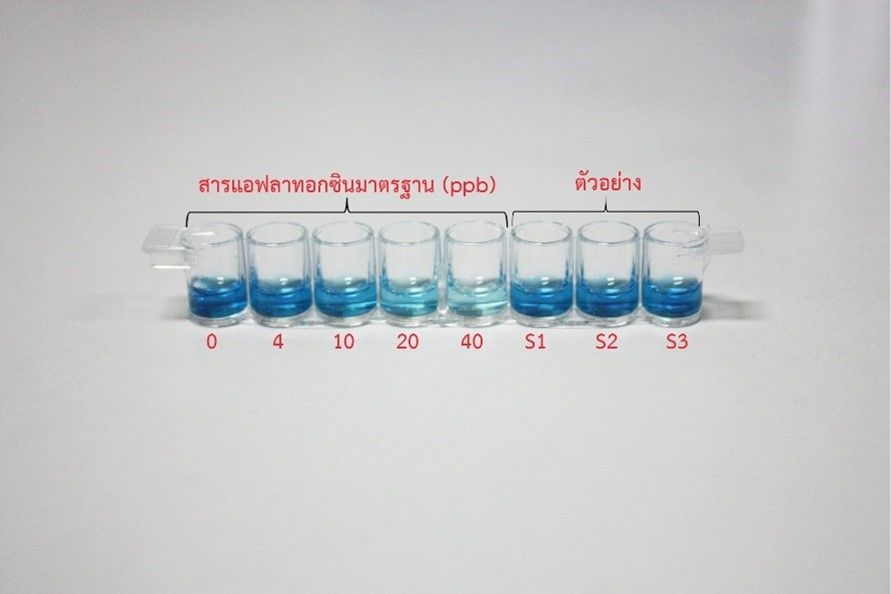 “ชุดตรวจแอฟลาทอกซิน” ฝีมือคนไทย ตรวจไว มั่นใจ อาหารปลอดภัย พัฒนาโดยกรมวิชาการเกษตร 2 883850