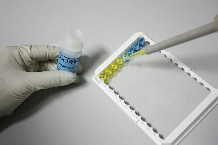 “ชุดตรวจแอฟลาทอกซิน” ฝีมือคนไทย ตรวจไว มั่นใจ อาหารปลอดภัย พัฒนาโดยกรมวิชาการเกษตร 4 883852