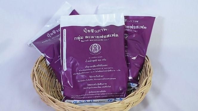 ปุ๋ยชีวภาพละลายฟอสเฟต ทางเลือกเพื่อเกษตรยั่งยืน ลดใช้ปุ๋ยเคมี เพิ่มประสิทธิภาพการดูดใช้ฟอสฟอรัสในดิน 8 886969