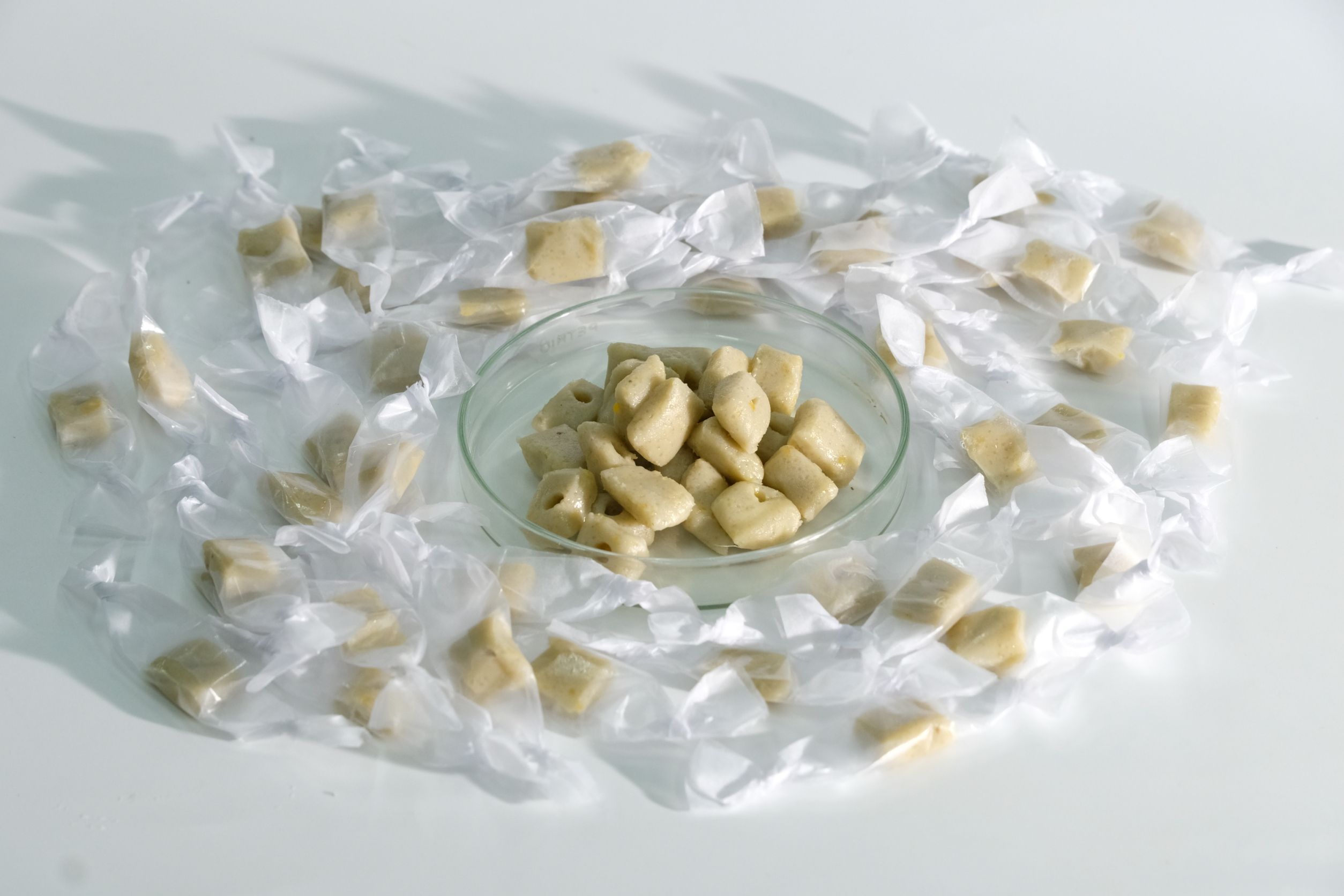 กำจัดหนูศัตรูพืชอย่างปลอดภัยด้วย 892817