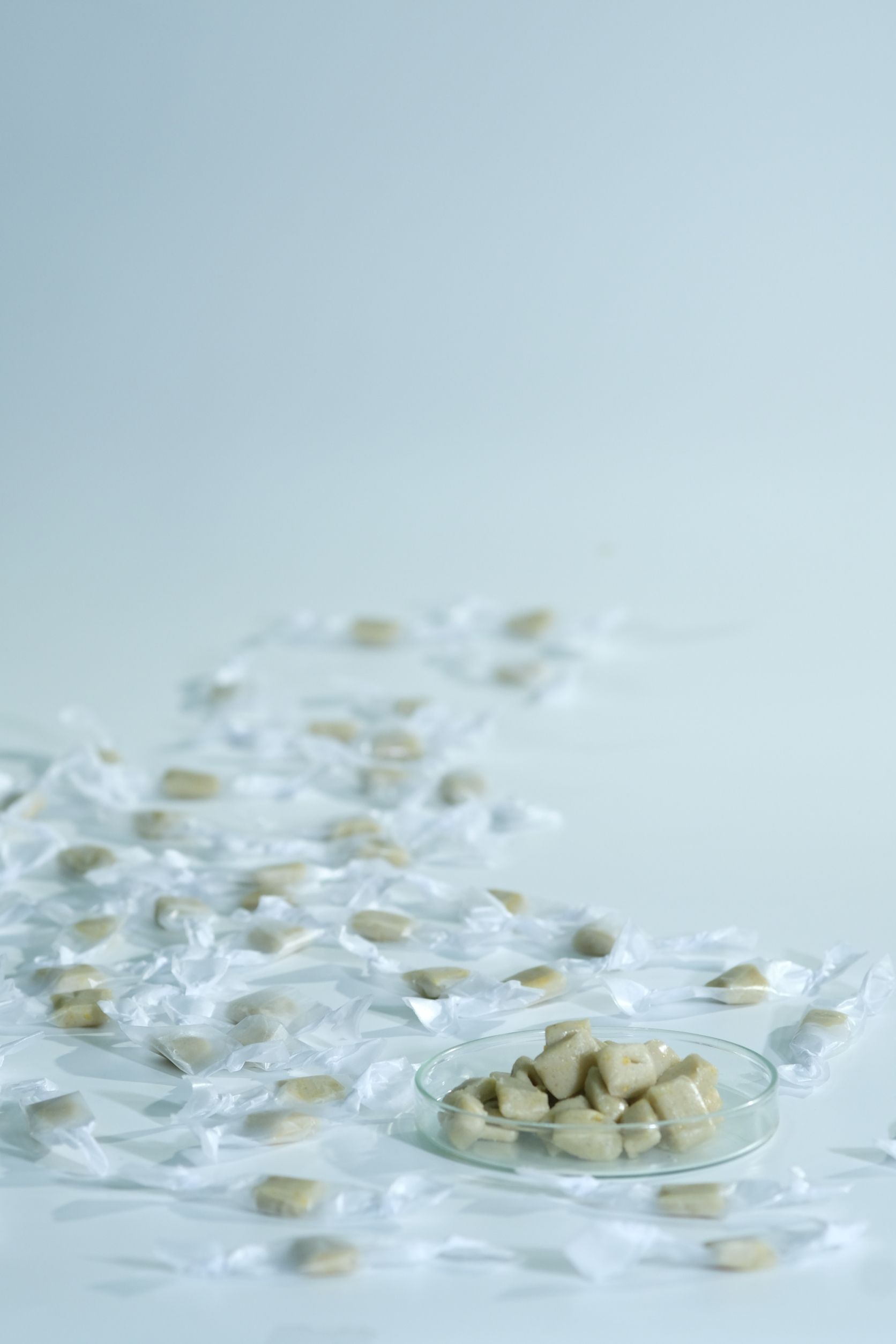 กำจัดหนูศัตรูพืชอย่างปลอดภัยด้วย 892818