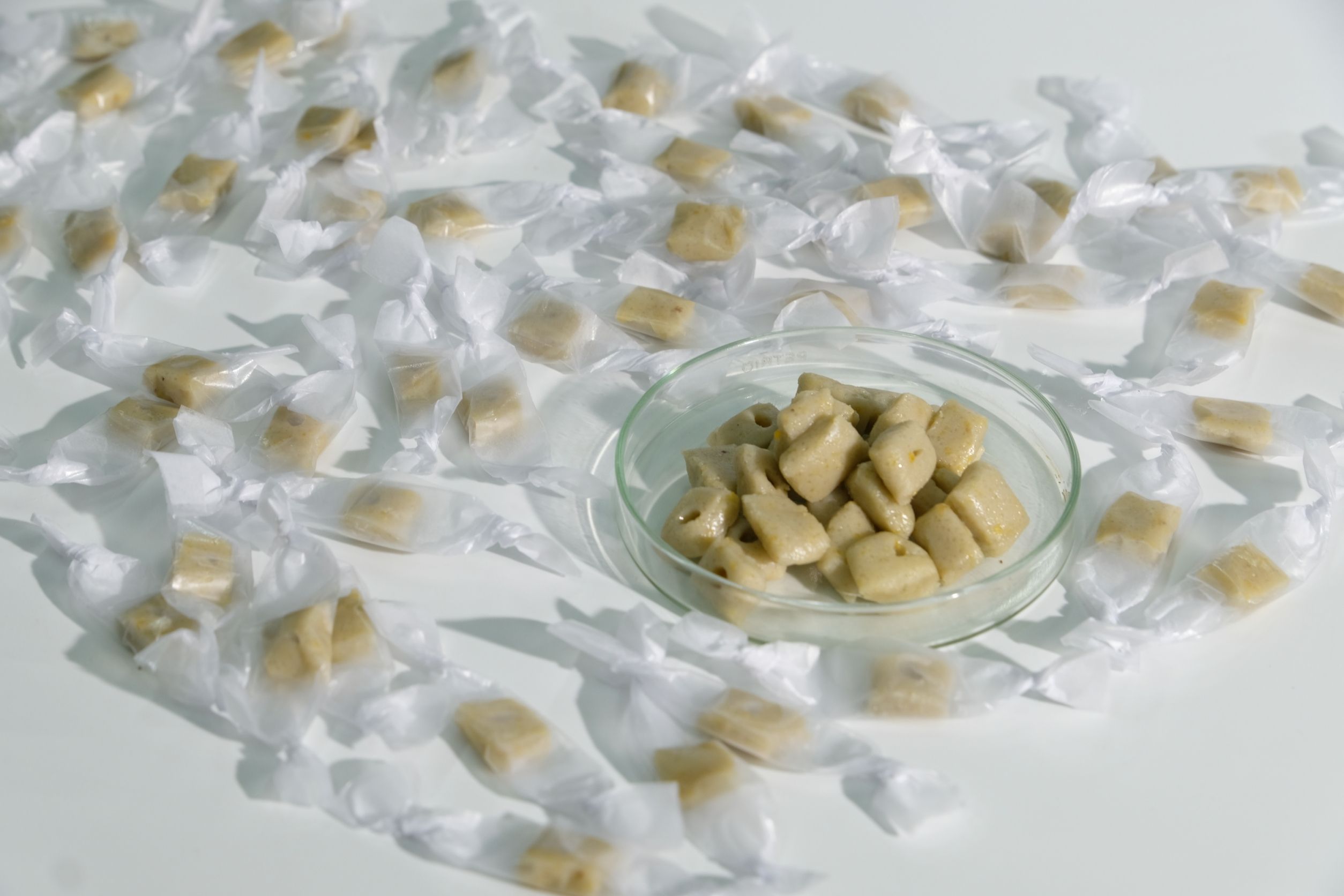 กำจัดหนูศัตรูพืชอย่างปลอดภัยด้วย 892819