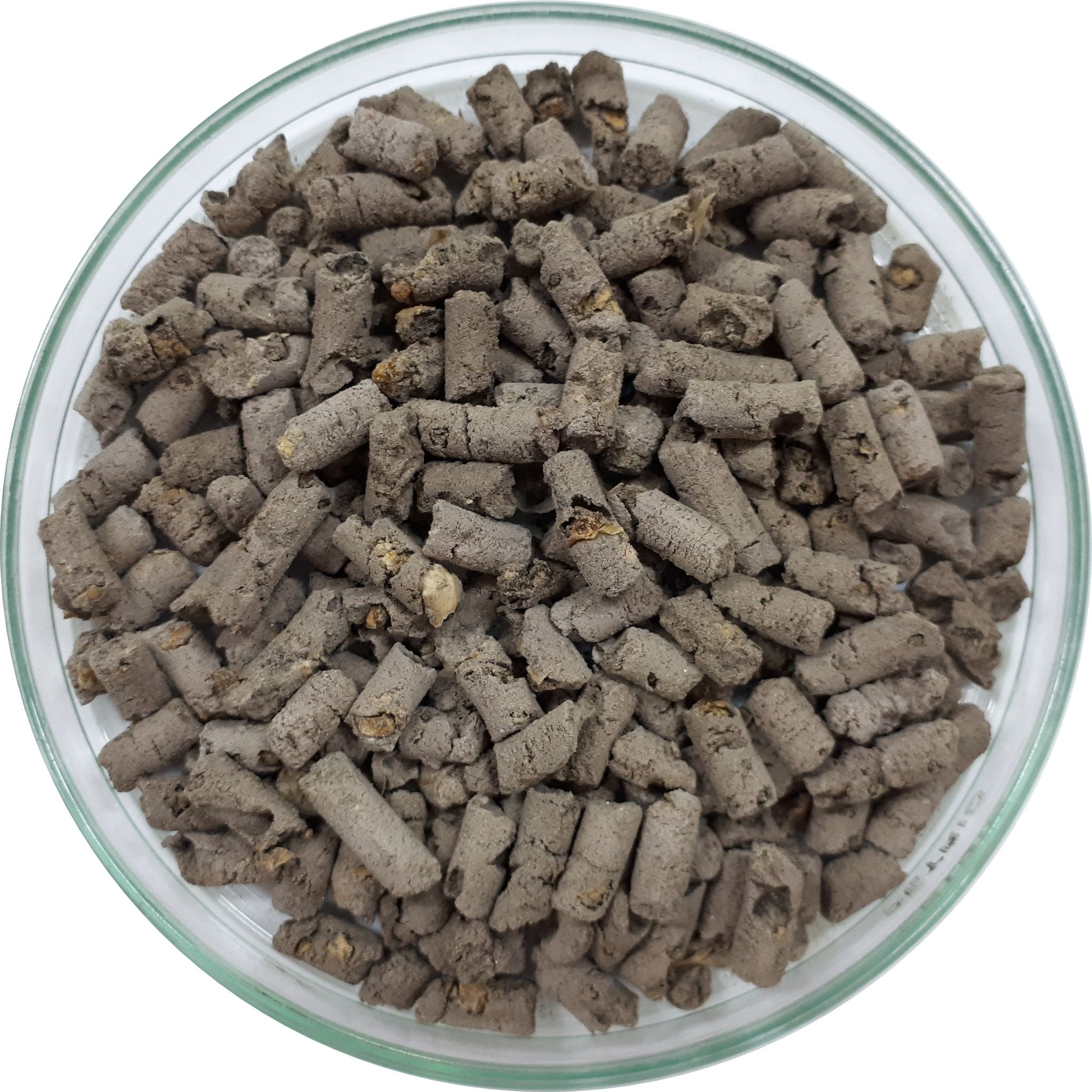 “เมตาไรเซียมอัดเม็ด” เทคโนโลยีใหม่ควบคุมด้วงแรดศัตรูมะพร้าวจากกรมวิชาการเกษตร 5 893788