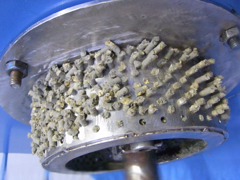 “เมตาไรเซียมอัดเม็ด” เทคโนโลยีใหม่ควบคุมด้วงแรดศัตรูมะพร้าวจากกรมวิชาการเกษตร 7 893790