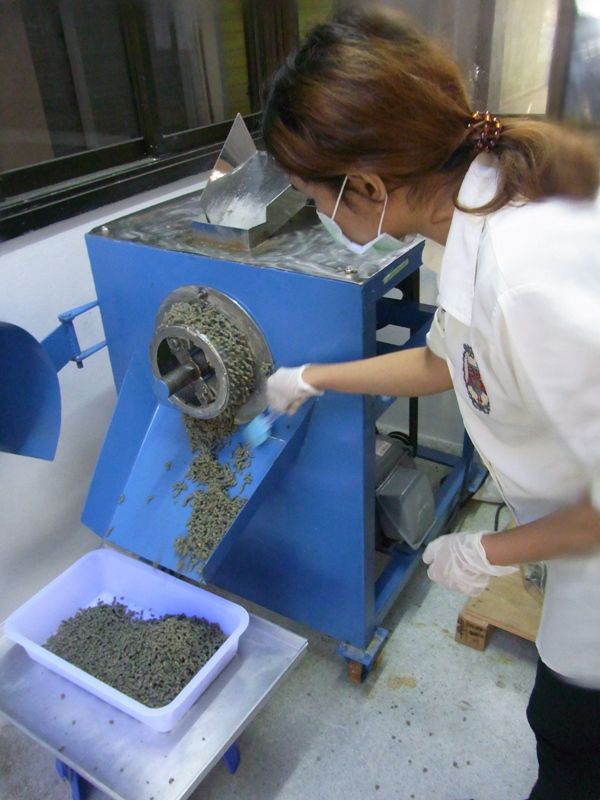 “เมตาไรเซียมอัดเม็ด” เทคโนโลยีใหม่ควบคุมด้วงแรดศัตรูมะพร้าวจากกรมวิชาการเกษตร 10 893793