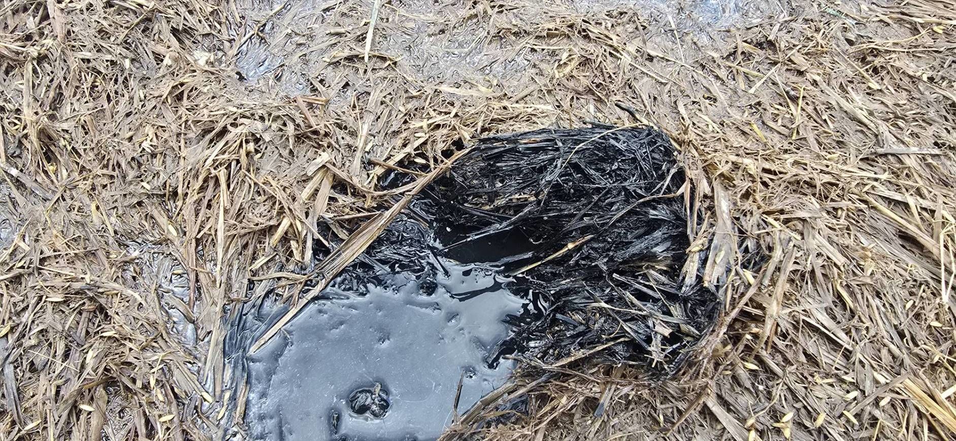 หัวเชื้อจุลินทรีย์ย่อยสลายวัสดุอินทรีย์ เร่งกระบวนการผลิตปุ๋ยหมัก ลดการเผาเศษซากพืช ช่วยเกษตรกรเพิ่มผลผลิตอย่างยั่งยืน 5 902123