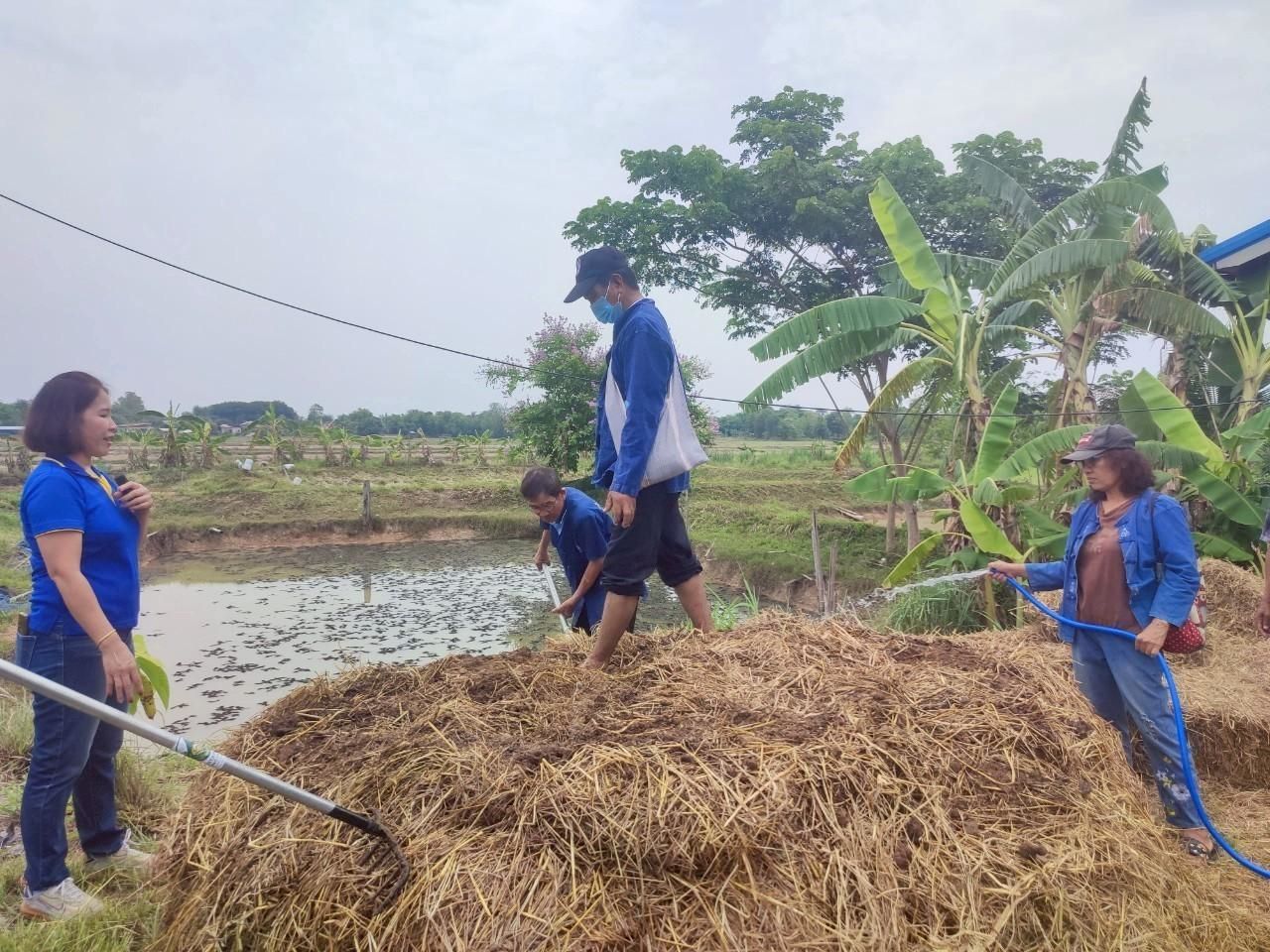 หัวเชื้อจุลินทรีย์ย่อยสลายวัสดุอินทรีย์ เร่งกระบวนการผลิตปุ๋ยหมัก ลดการเผาเศษซากพืช ช่วยเกษตรกรเพิ่มผลผลิตอย่างยั่งยืน 7 902125
