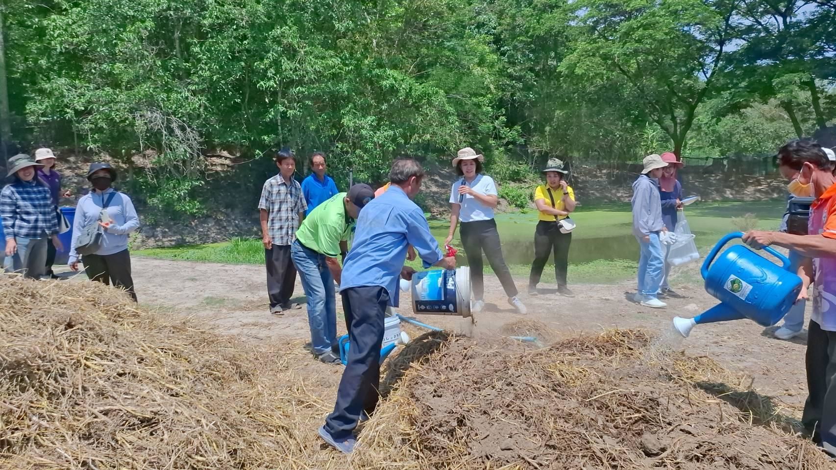 หัวเชื้อจุลินทรีย์ย่อยสลายวัสดุอินทรีย์ เร่งกระบวนการผลิตปุ๋ยหมัก ลดการเผาเศษซากพืช ช่วยเกษตรกรเพิ่มผลผลิตอย่างยั่งยืน 9 902127