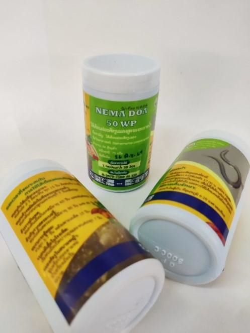 “NEMA DOA 50 WP” ฮีโร่ตัวจิ๋วจากกรมวิชาการเกษตร ปราบศัตรูพืชอย่างปลอดภัย 2 902845