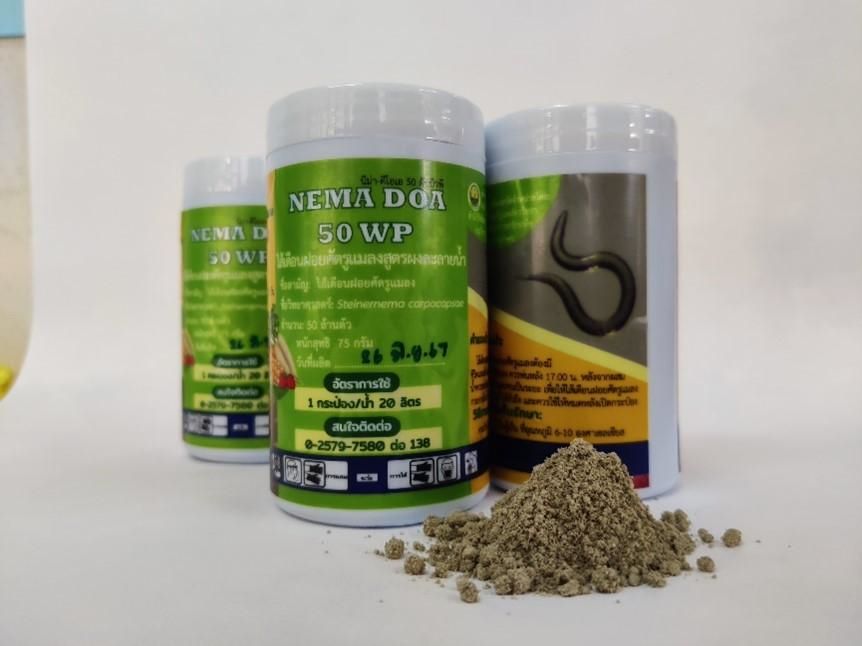 “NEMA DOA 50 WP” ฮีโร่ตัวจิ๋วจากกรมวิชาการเกษตร ปราบศัตรูพืชอย่างปลอดภัย 5 902848
