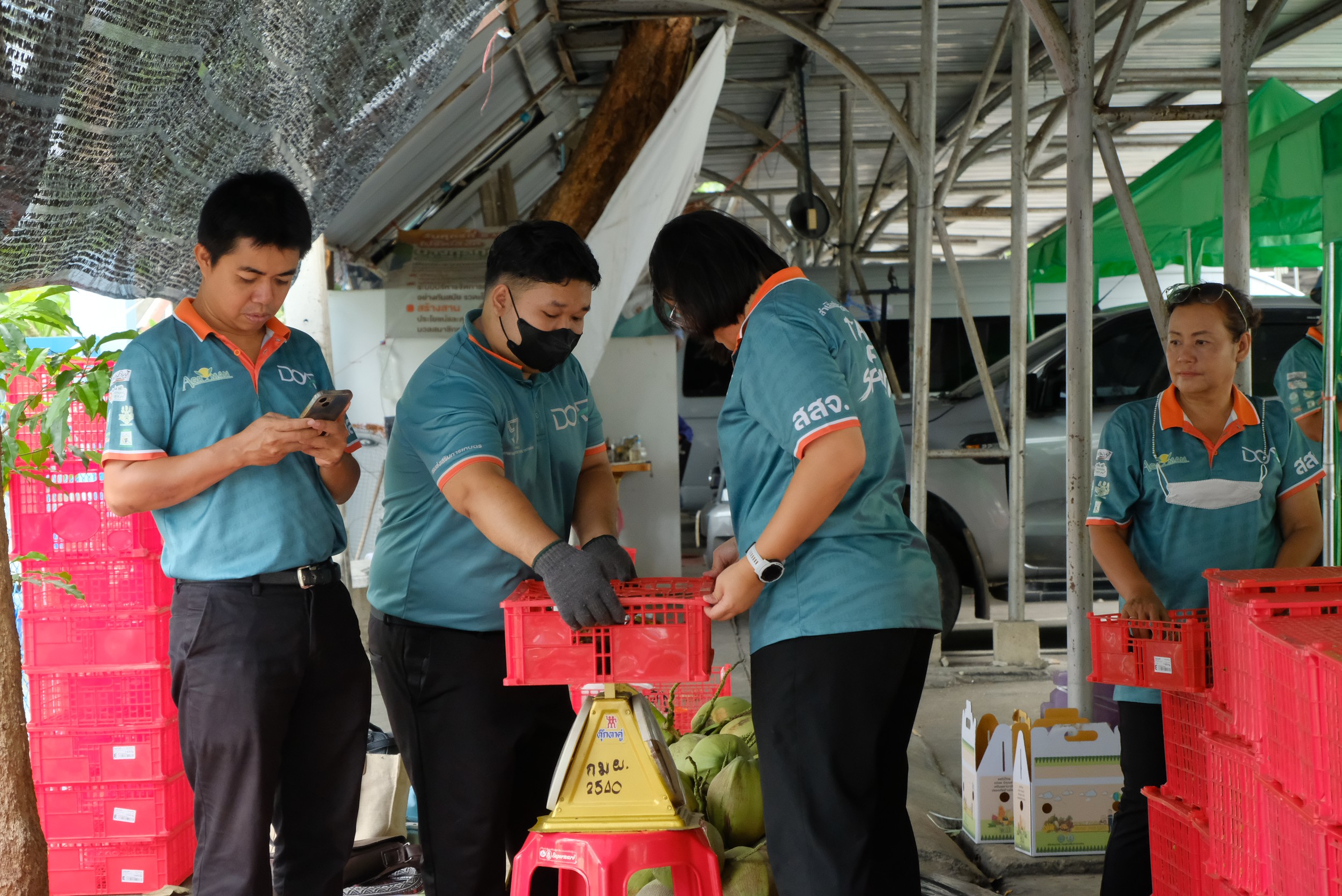 กรมส่งเสริมการเกษตร ปลื้ม ดันตลาดมังคุดคุณภาพ สดจากสวนแปลงใหญ่ถึงมือผู้บริโภคกระจายสินค้าเกษตรทะลุ 600 ตัน ผ่านตลาดเกษตรกรทั่วประเทศ 6 DSCF0123