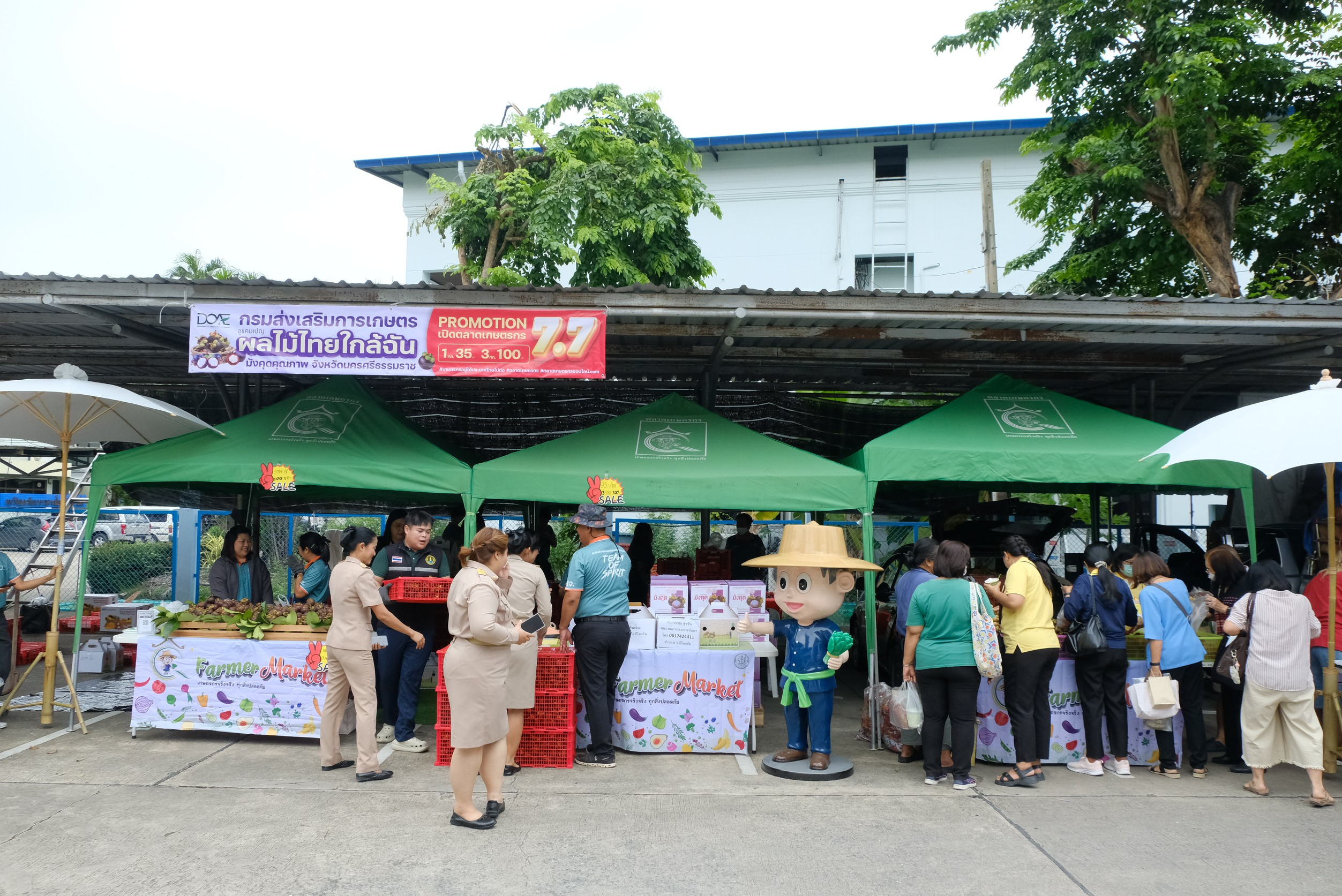 กรมส่งเสริมการเกษตร ปลื้ม ดันตลาดมังคุดคุณภาพ สดจากสวนแปลงใหญ่ถึงมือผู้บริโภคกระจายสินค้าเกษตรทะลุ 600 ตัน ผ่านตลาดเกษตรกรทั่วประเทศ 7 DSCF0126