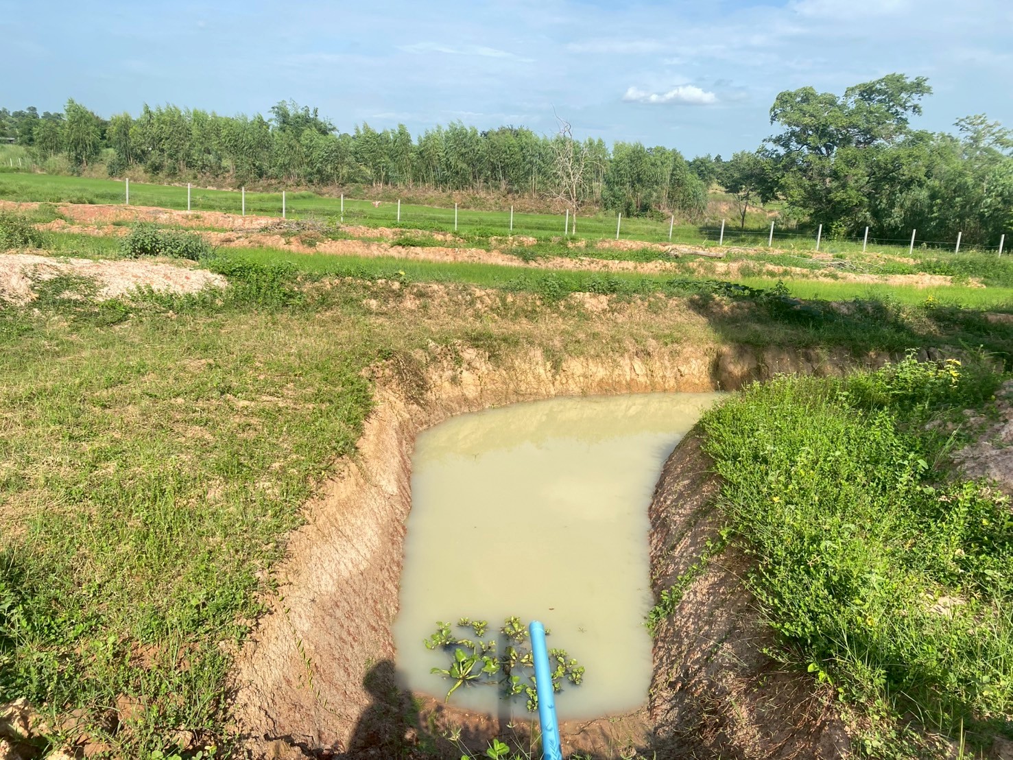 สศก. ติดตามความก้าวหน้าโครงการจัดการความเสื่อมโทรมของที่ดิน ด้วยแนวคิด LDN มุ่งสู่การใช้ที่ดินอย่างยั่งยืน 10 LINE ALBUM Carbon ขอนแก่น 7 8 กค 68 250710 167