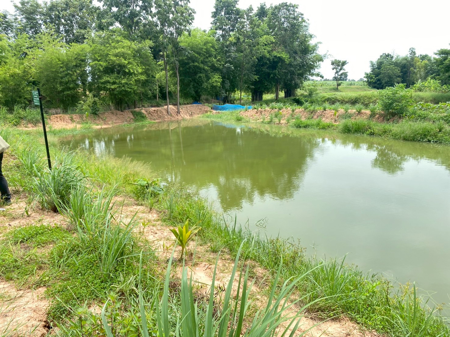 สศก. ติดตามความก้าวหน้าโครงการจัดการความเสื่อมโทรมของที่ดิน ด้วยแนวคิด LDN มุ่งสู่การใช้ที่ดินอย่างยั่งยืน 11 PJIT4803