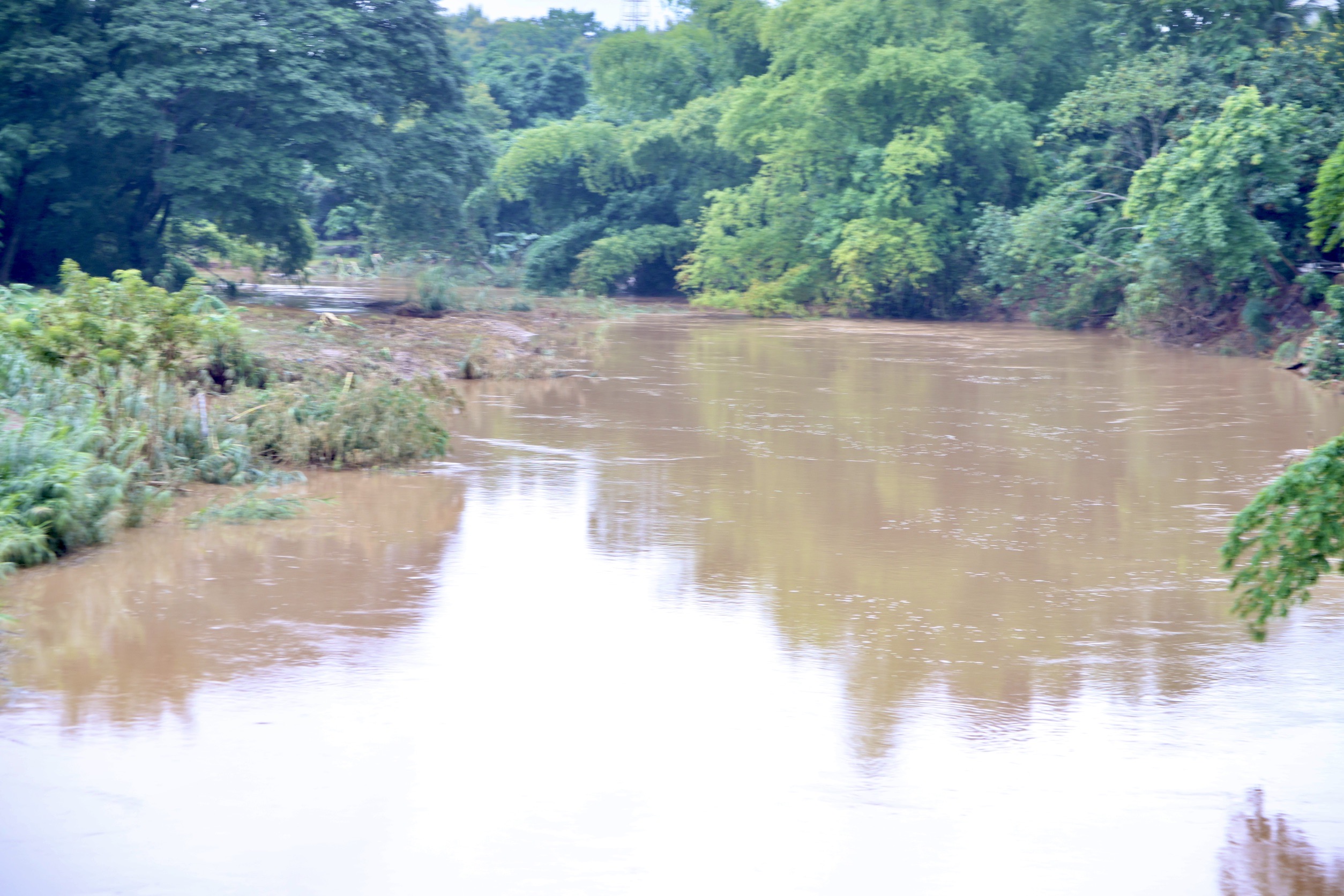 รมช.อัครา ลงพื้นที่ช่วยเกษตรกรแก้น้ำท่วม ฟื้นฟูแหล่งน้ำ ชวนเกษตรกรเปลี่ยนโรงเรียนร้าง หวังเป็น “ศูนย์ข้าวชุมชน” สร้างวิสาหกิจชุมชน ยกระดับชีวิตเกษตรกร 12 S 134021166