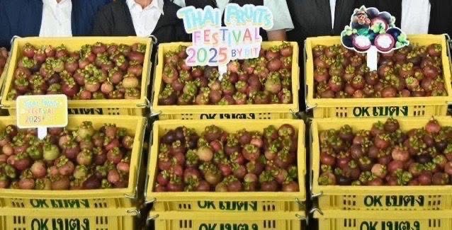 “จตุพร”ควง “สุชาติ” ลุยนครศรี แก้ปัญหาราคามังคุด ปล่อยคาราวานรถมังคุด กว่า 40 ตัน กระจายออกนอกแหล่งผลิตตามนโยบาย “ไทยทำ ไทยใช้ ไทยช่วยไทย” 5 S 14811143