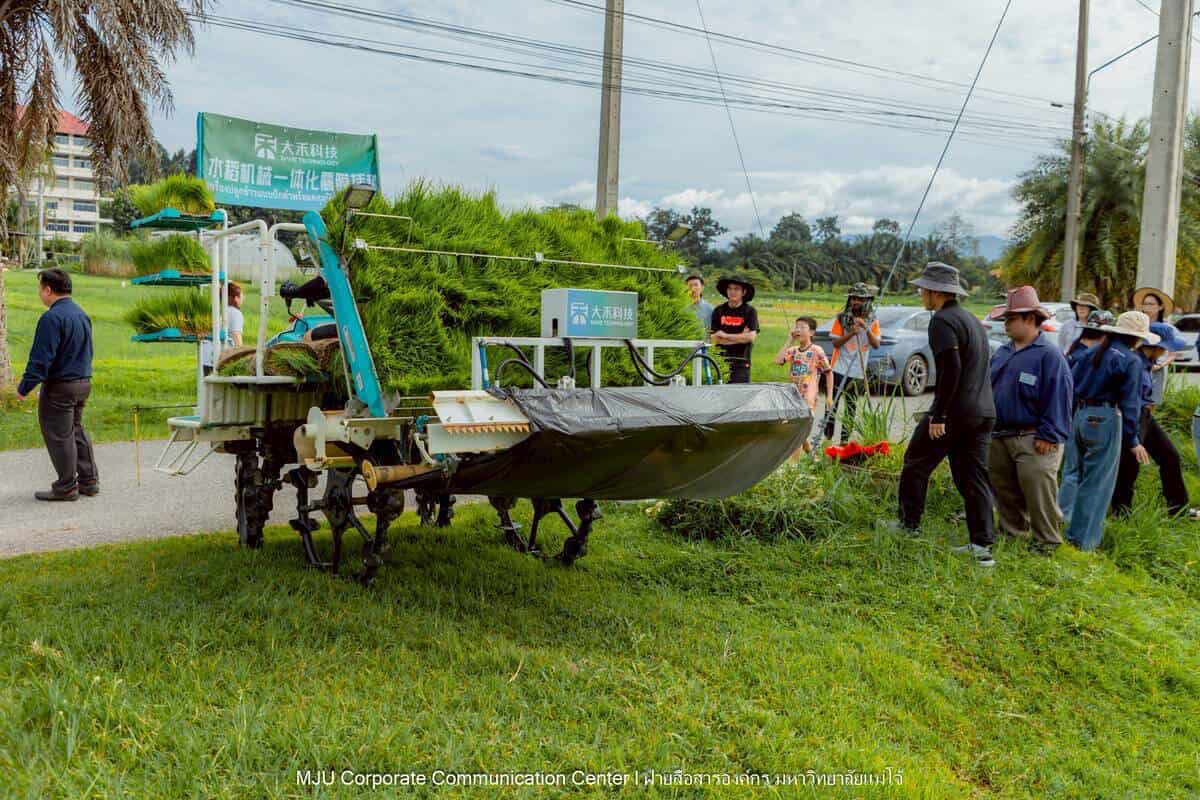 ม.แม่โจ้ ร่วมกับภาคเอกชนจีนทดสอบเทคโนโลยีฟิล์มคลุมดินที่ย่อยสลายได้ทางชีวภาพในการปลูกข้าวอินทรีย์ 4 S 15130689