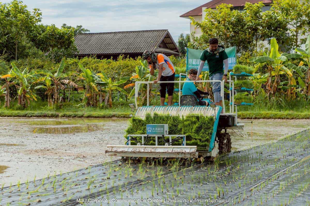 ม.แม่โจ้ ร่วมกับภาคเอกชนจีนทดสอบเทคโนโลยีฟิล์มคลุมดินที่ย่อยสลายได้ทางชีวภาพในการปลูกข้าวอินทรีย์ 6 S 15130691