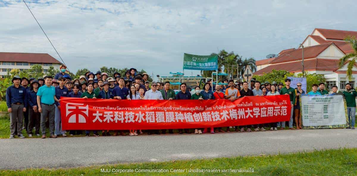 ม.แม่โจ้ ร่วมกับภาคเอกชนจีนทดสอบเทคโนโลยีฟิล์มคลุมดินที่ย่อยสลายได้ทางชีวภาพในการปลูกข้าวอินทรีย์ 7 S 15130692