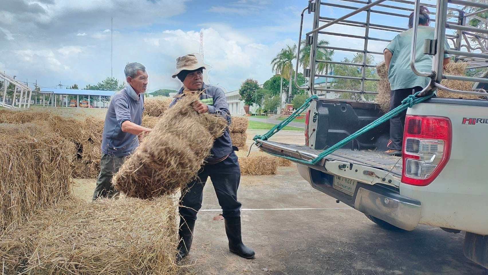 อธิบดีกรมปศุสัตว์ลงพื้นที่ให้กำลังใจเกษตรกรผู้เลี้ยงสัตว์ ประชาชน และเจ้าหน้าที่ ที่ได้รับผลกระทบจากการสู้รบไทย-กัมพูชา พร้อมจัดตั้งจุดอพยพสัตว์เลี้ยง ให้การช่วยเหลือด้านสุขภาพสัตว์ เสบียงอาหารสัตว์ และสนับสนุนผลิตภัณฑ์ปศุสัตว์ 15 S 15515683 1