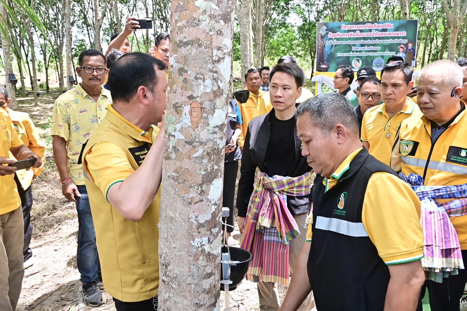 “รมว.อรรถกร” เปิดตัว “สวนยางอารยเกษตร” พัทลุงโมเดล ดึงนวัตกรรมแก๊สเอทธิลีน ร่วมกับติดระบบน้ำในสวนยางพารา เพิ่มความชุ่มชื้นและผลผลิตยาง 7 S 19587491