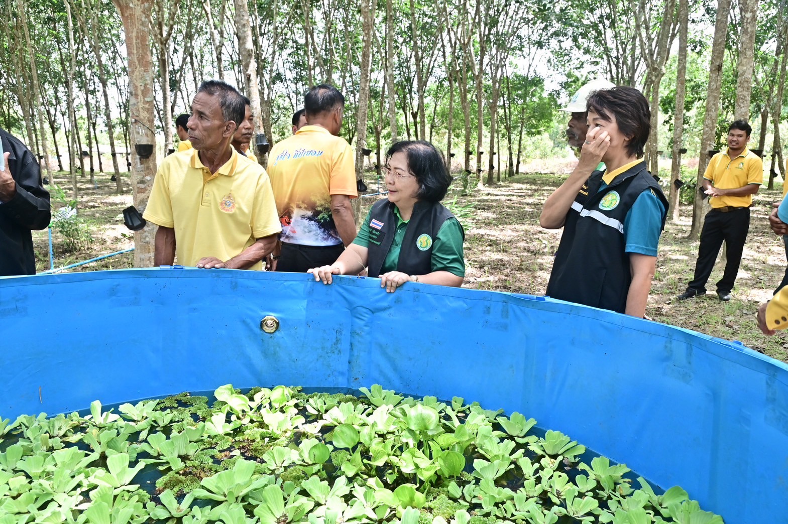 “รมว.อรรถกร” เปิดตัว “สวนยางอารยเกษตร” พัทลุงโมเดล ดึงนวัตกรรมแก๊สเอทธิลีน ร่วมกับติดระบบน้ำในสวนยางพารา เพิ่มความชุ่มชื้นและผลผลิตยาง 10 S 19587494