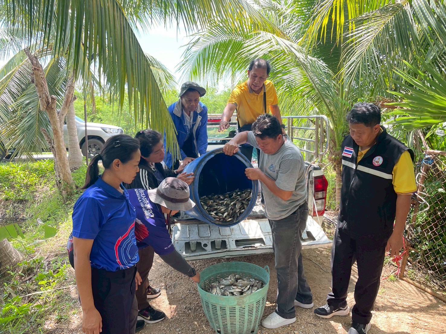กรมพัฒนาที่ดิน เผยผลสำเร็จ “น้ำหมักชีวภาพสูตรปลาหมอคางดำ” ทำเกษตรกรยิ้ม ผลผลิตพุ่ง ลดต้นทุน เพิ่มรายได้ 3 S 22257816