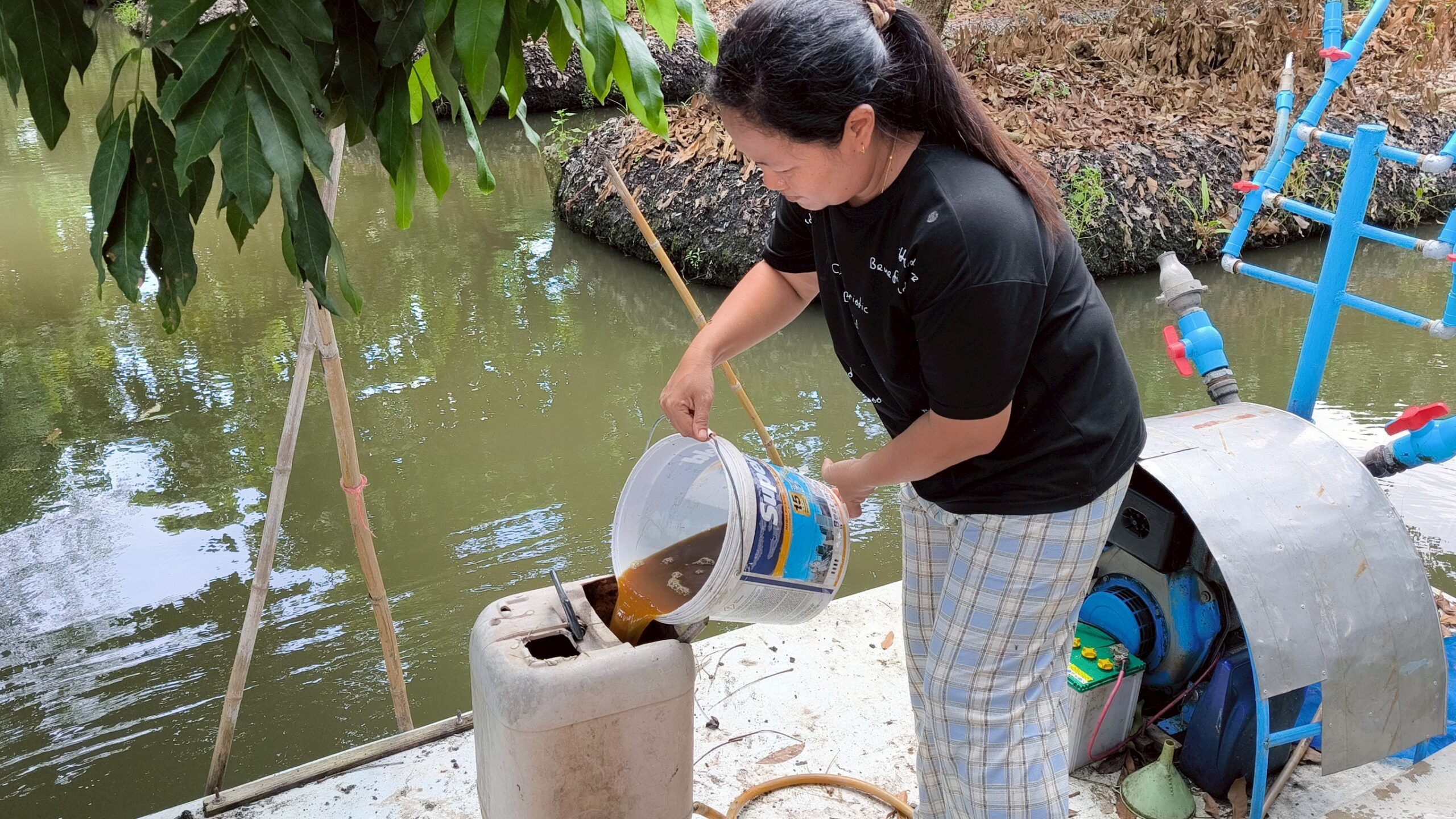 กรมพัฒนาที่ดิน เผยผลสำเร็จ “น้ำหมักชีวภาพสูตรปลาหมอคางดำ” ทำเกษตรกรยิ้ม ผลผลิตพุ่ง ลดต้นทุน เพิ่มรายได้ 6 S 22257824 scaled