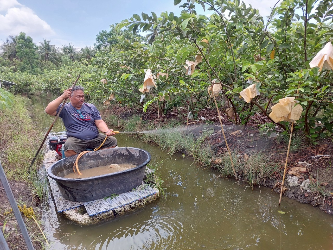 กรมพัฒนาที่ดิน เผยผลสำเร็จ “น้ำหมักชีวภาพสูตรปลาหมอคางดำ” ทำเกษตรกรยิ้ม ผลผลิตพุ่ง ลดต้นทุน เพิ่มรายได้ 7 S 22257825