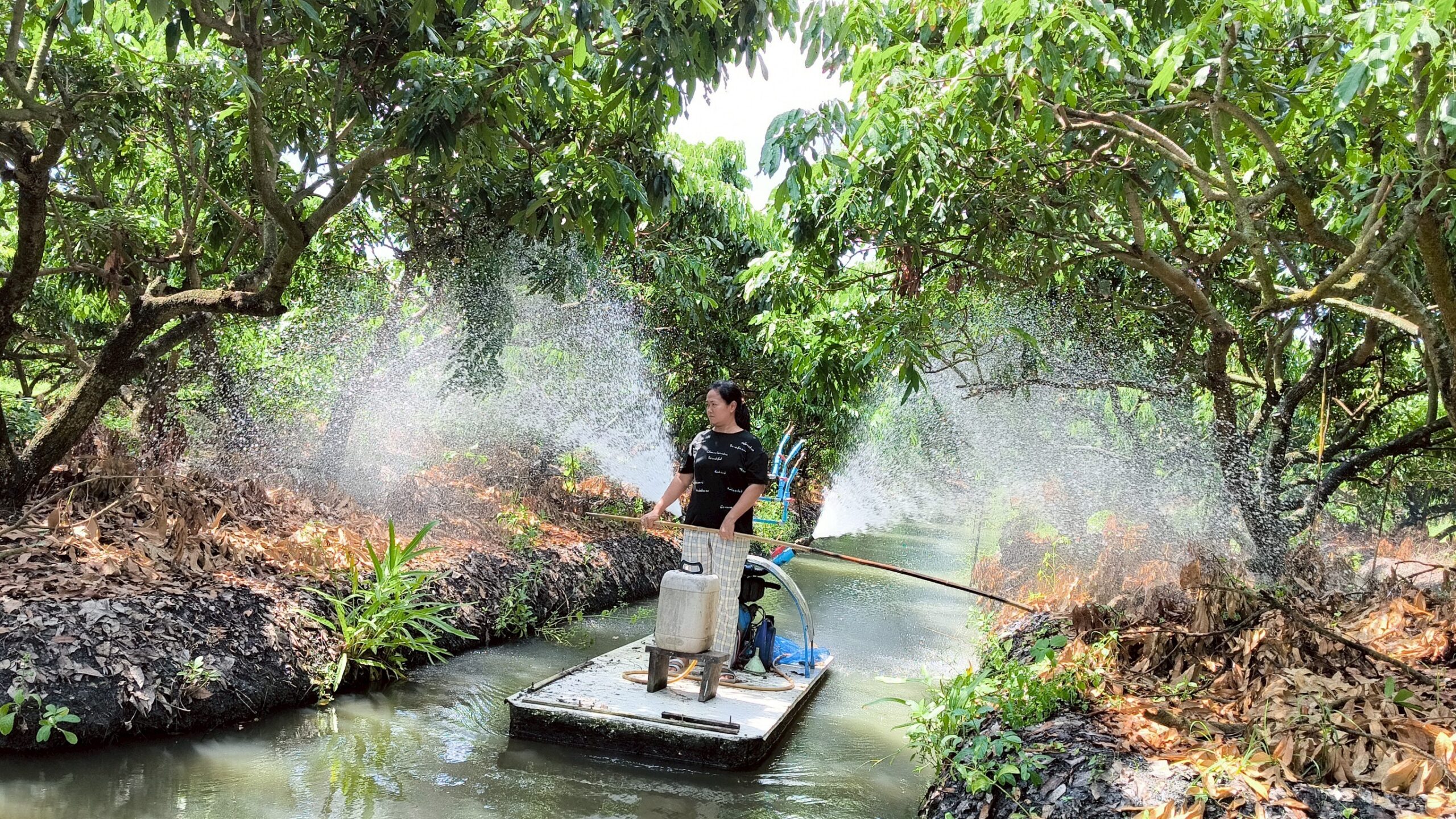 กรมพัฒนาที่ดิน เผยผลสำเร็จ “น้ำหมักชีวภาพสูตรปลาหมอคางดำ” ทำเกษตรกรยิ้ม ผลผลิตพุ่ง ลดต้นทุน เพิ่มรายได้ 8 S 22257826 scaled