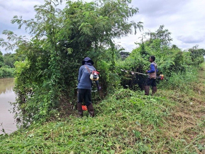 เปิดทางน้ำทั่วไทย กรมชลฯ ลุยกำจัดผักตบ - ติดตั้งเครื่องสูบน้ำ เร่งระบายน้ำช่วยประชาชนฝ่าวิกฤตฤดูฝน 7 S 2564195