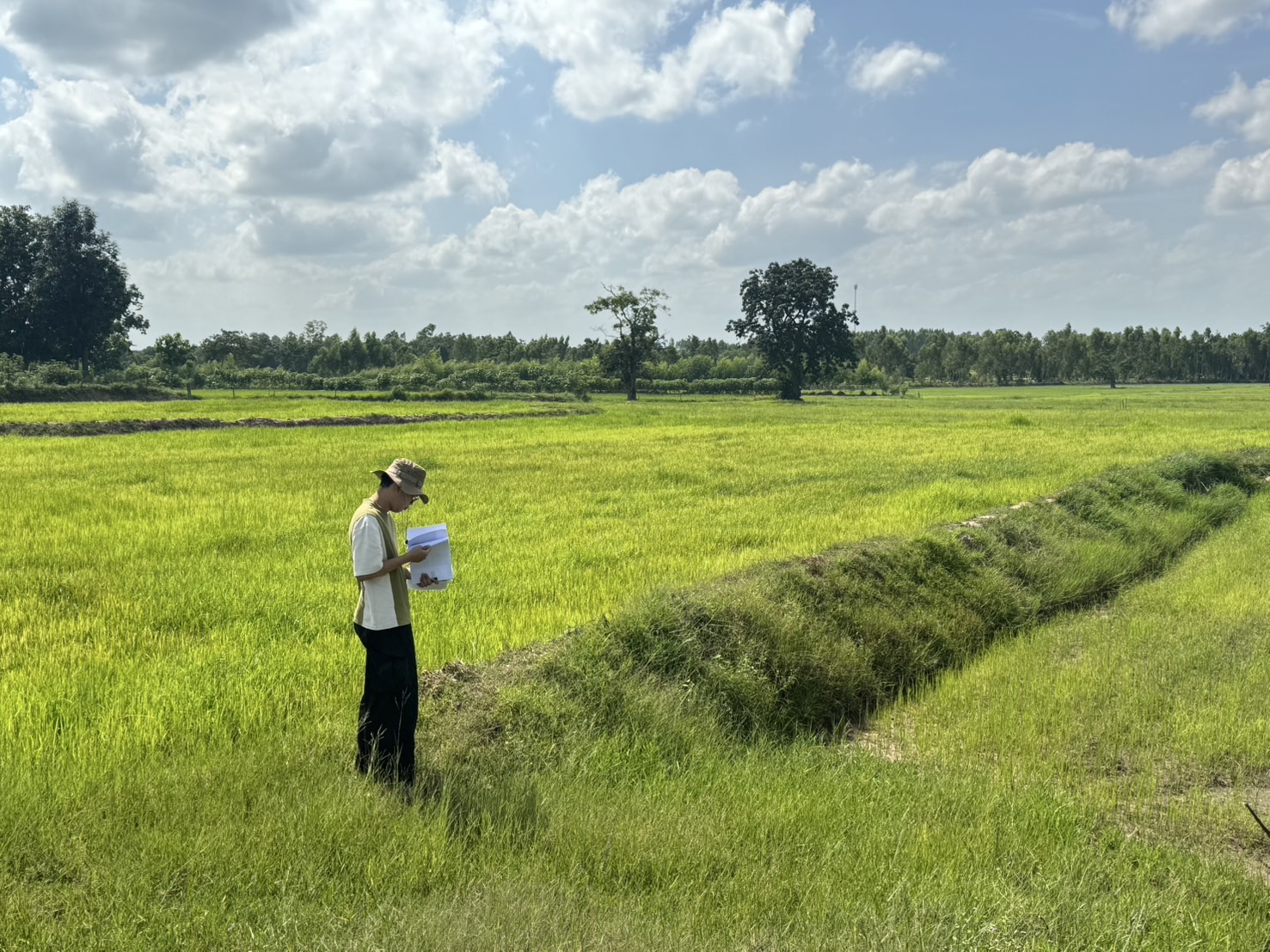 สศก. ถอดบทเรียนปัญหาพื้นที่เพาะปลูกทับซ้อน เตรียมใช้ Machine Learning หนุนการจัดทำแผนที่เกษตรกรรม 11 S 30974034 0