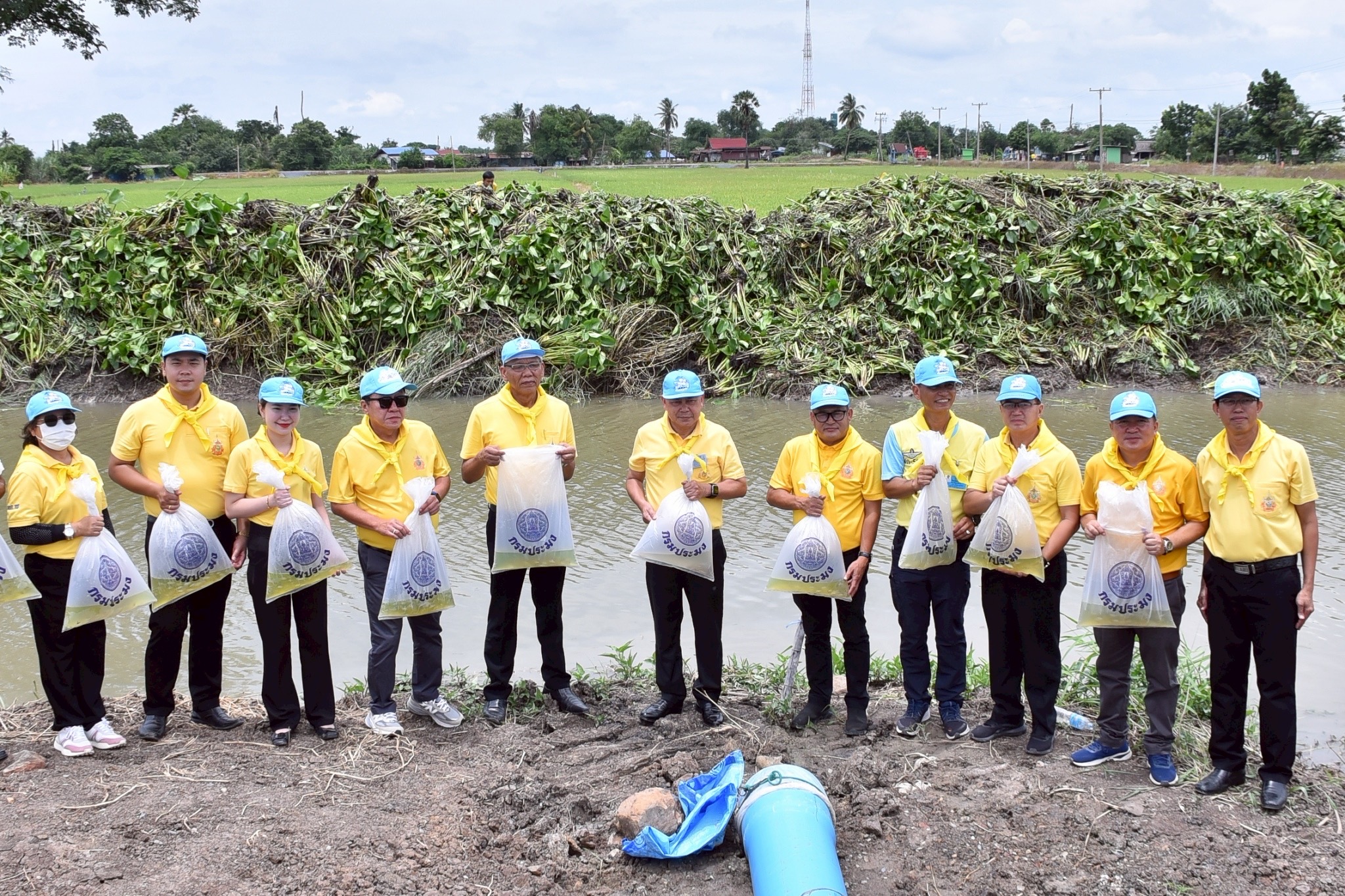 ปลัดเกษตรฯ นำเจ้าหน้าที่ร่วมกิจกรรมจิตอาสาพัฒนาด้านการเกษตร กระทรวงเกษตรและสหกรณ์ ณ จังหวัดสุพรรณบุรี 19 S 482787365