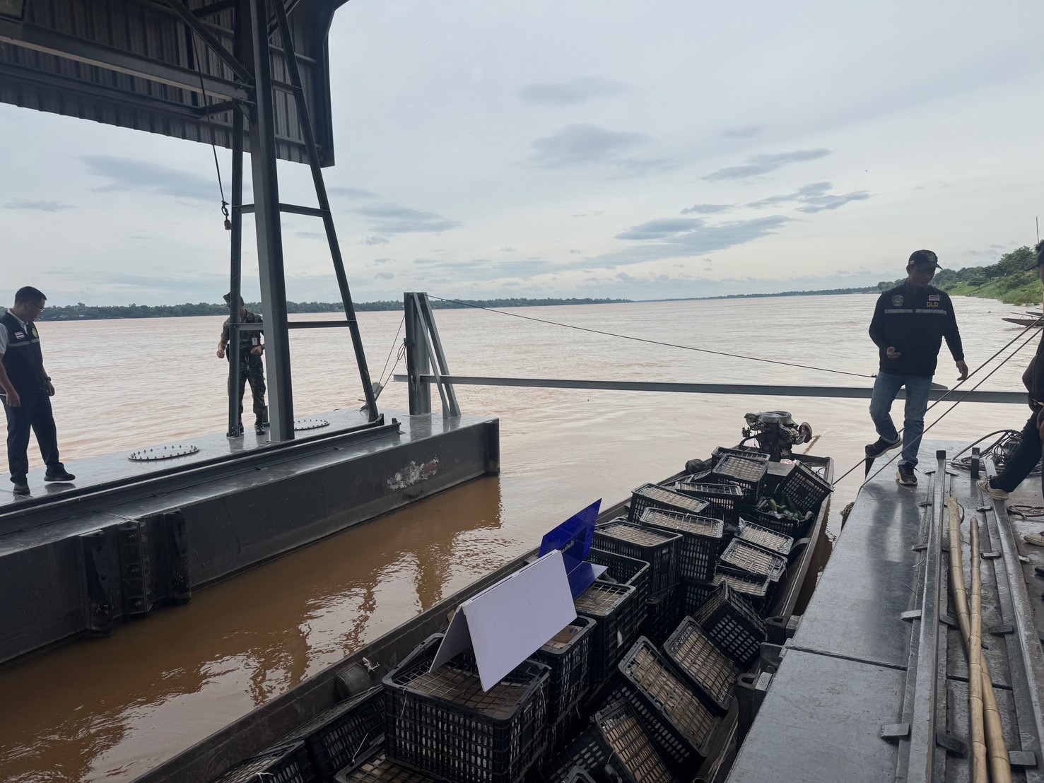 “ฉก.พญานาคราช” จับอะโวคาโดเถื่อนน้ำหนัก 1,750 กิโลกรัม จังหวัดมุกดาหาร 6 S 49029132