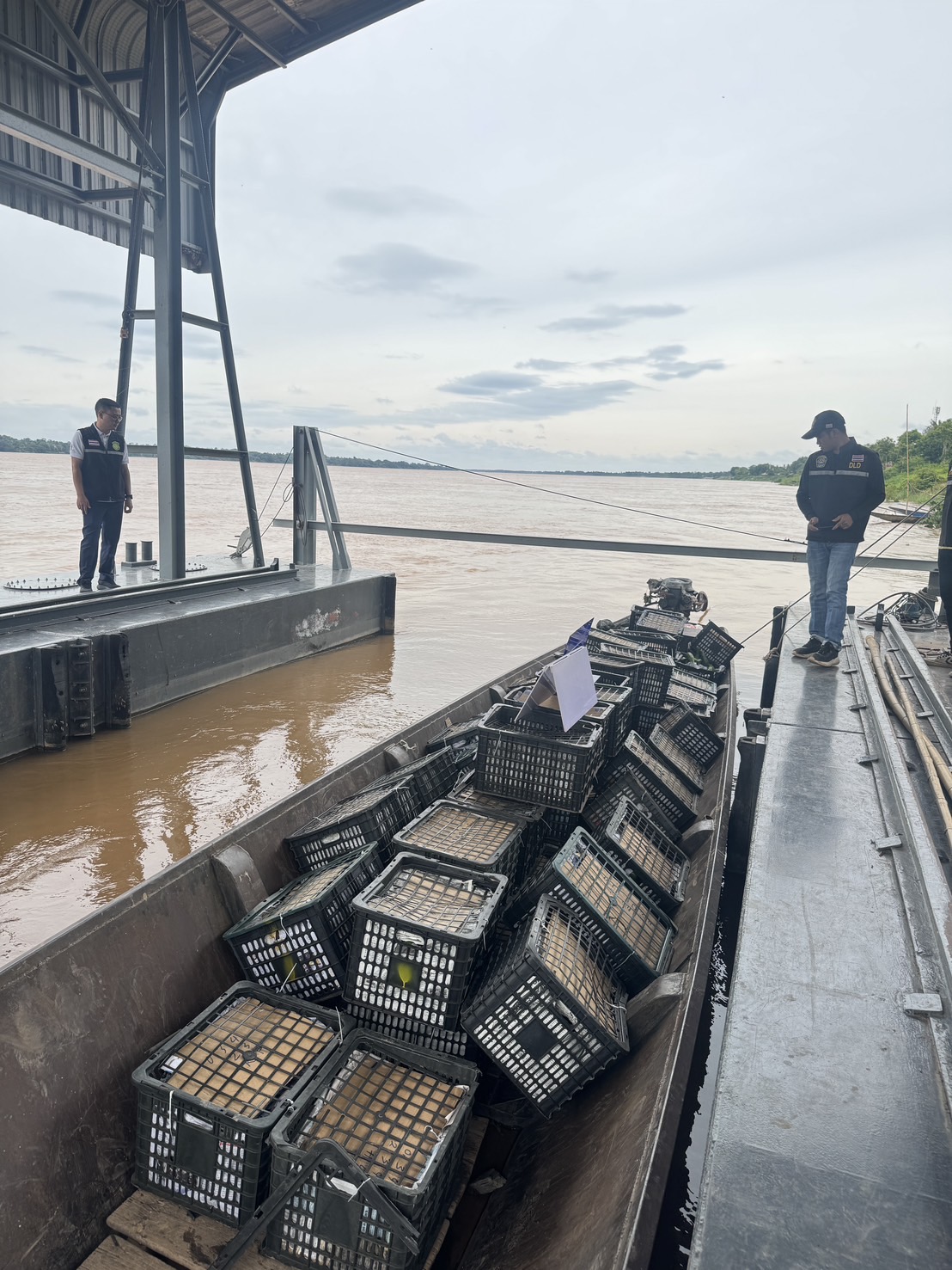 “ฉก.พญานาคราช” จับอะโวคาโดเถื่อนน้ำหนัก 1,750 กิโลกรัม จังหวัดมุกดาหาร 7 S 49029133