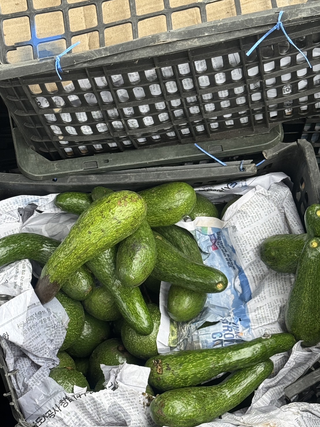 “ฉก.พญานาคราช” จับอะโวคาโดเถื่อนน้ำหนัก 1,750 กิโลกรัม จังหวัดมุกดาหาร 10 S 49029136