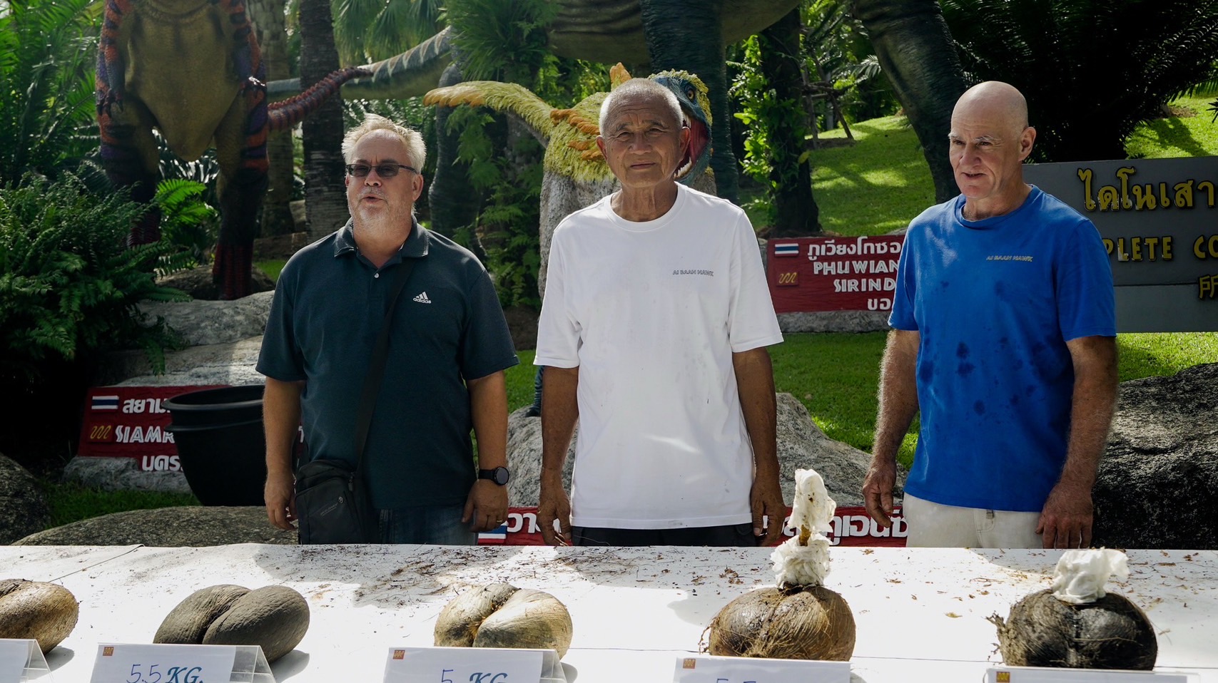 จากเกาะเซเชลส์สู่พัทยา สวนนงนุชฯ สร้างความสำเร็จระดับโลก ปลอก “มะพร้าวทะเล” หายาก 9 ลูก พบเมล็ดแฝดรวม 10 เมล็ด มูลค่าทะลุล้านบาท สะท้อนภารกิจอนุรักษ์พันธุ์พืชหายากของไทยสู่เวทีโลก 2 S 6219133