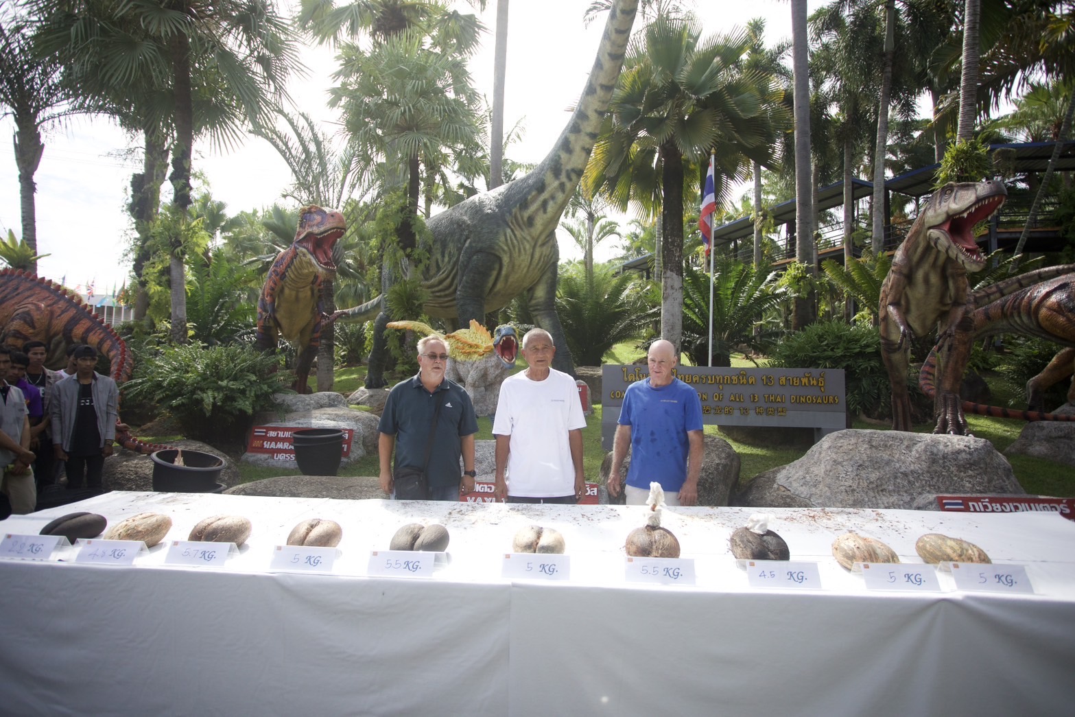 จากเกาะเซเชลส์สู่พัทยา สวนนงนุชฯ สร้างความสำเร็จระดับโลก ปลอก “มะพร้าวทะเล” หายาก 9 ลูก พบเมล็ดแฝดรวม 10 เมล็ด มูลค่าทะลุล้านบาท สะท้อนภารกิจอนุรักษ์พันธุ์พืชหายากของไทยสู่เวทีโลก 3 S 6219150