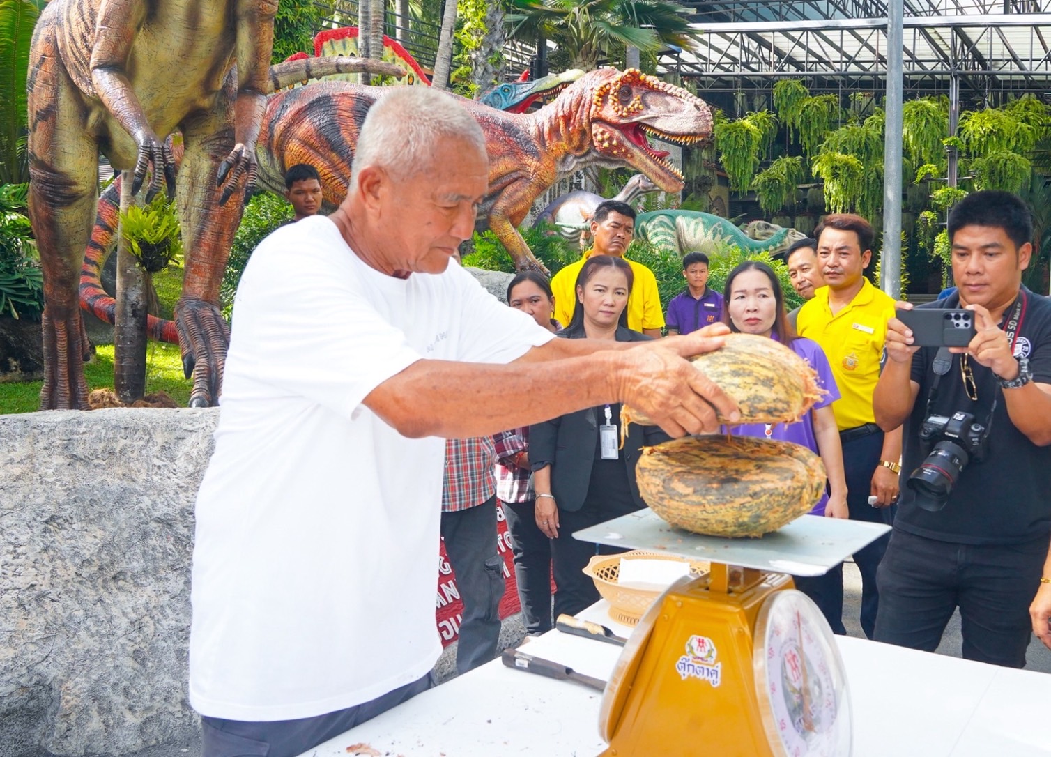จากเกาะเซเชลส์สู่พัทยา สวนนงนุชฯ สร้างความสำเร็จระดับโลก ปลอก “มะพร้าวทะเล” หายาก 9 ลูก พบเมล็ดแฝดรวม 10 เมล็ด มูลค่าทะลุล้านบาท สะท้อนภารกิจอนุรักษ์พันธุ์พืชหายากของไทยสู่เวทีโลก 4 S 6219155
