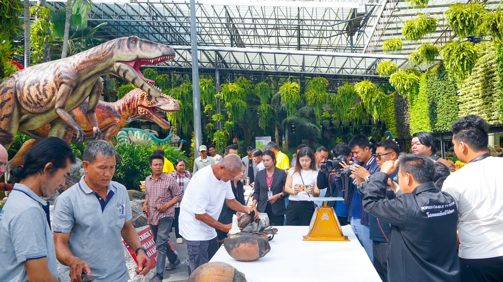 จากเกาะเซเชลส์สู่พัทยา สวนนงนุชฯ สร้างความสำเร็จระดับโลก ปลอก “มะพร้าวทะเล” หายาก 9 ลูก พบเมล็ดแฝดรวม 10 เมล็ด มูลค่าทะลุล้านบาท สะท้อนภารกิจอนุรักษ์พันธุ์พืชหายากของไทยสู่เวทีโลก 8 S 6219211