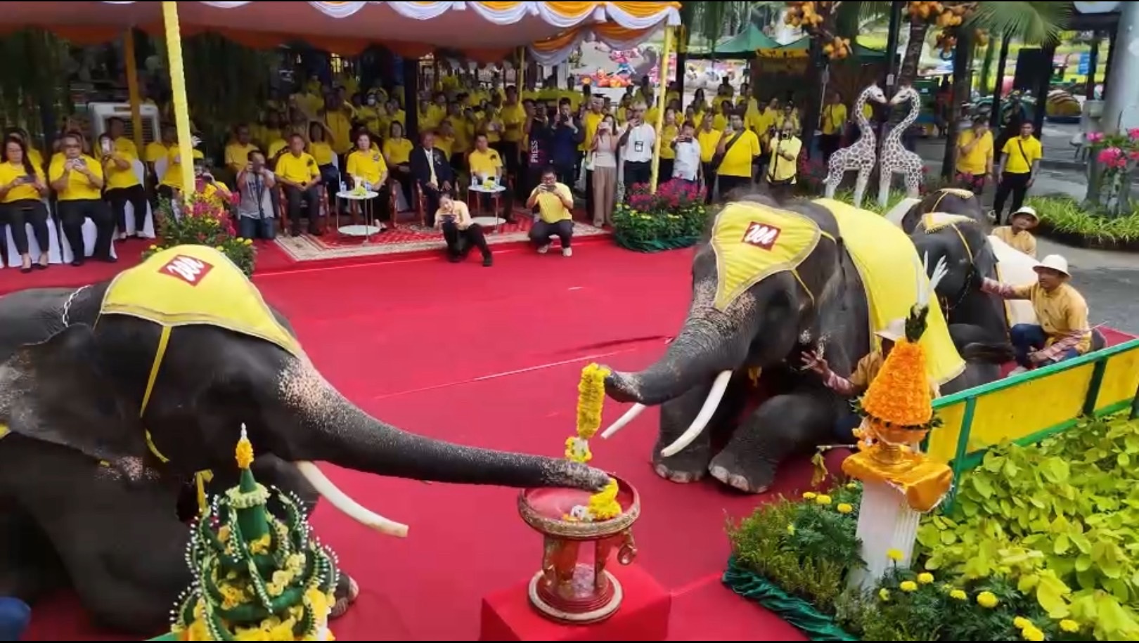 สุดยิ่งใหญ่พิธีถวายราชสดุดีเฉลิมพระเกียรติ 73 พรรษา S 6440795