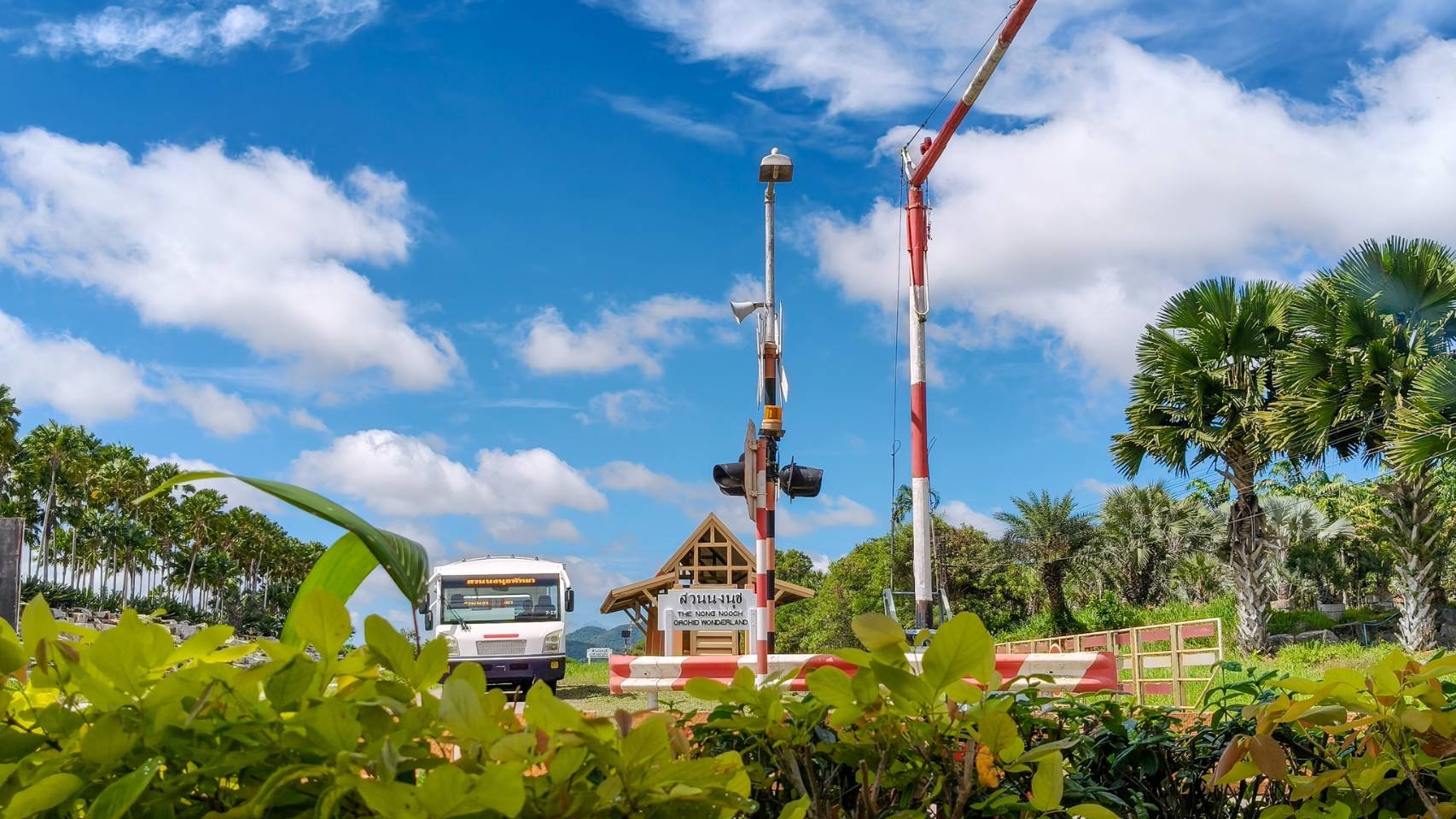 “ไทยเที่ยวไทย เที่ยวอย่างภาคภูมิใจที่สวนนงนุชพัทยา” สุดคุ้ม ซื้อ 1 แถมฟรีอีก 1 ตลอดเดือนสิงหาคม 2568 8 S 6530432