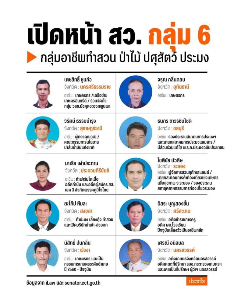 บิ๊กหนู S 6897938 768x960 1